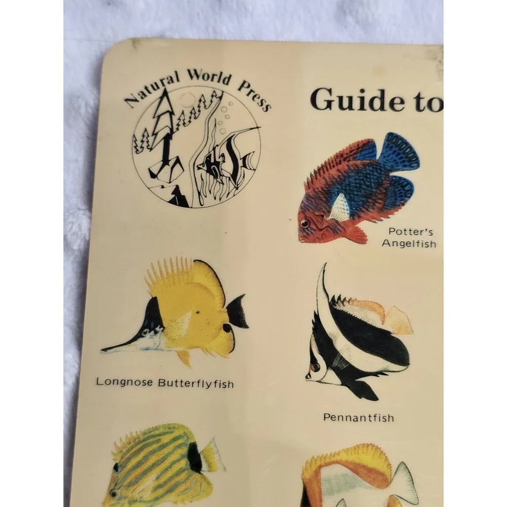 Vtg 1983 Guide to Hawaiian Reef Fish Plastic Card Natural World Press Ephemera